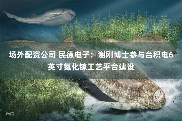 场外配资公司 民德电子：谢刚博士参与台积电6英寸氮化镓工艺平台建设