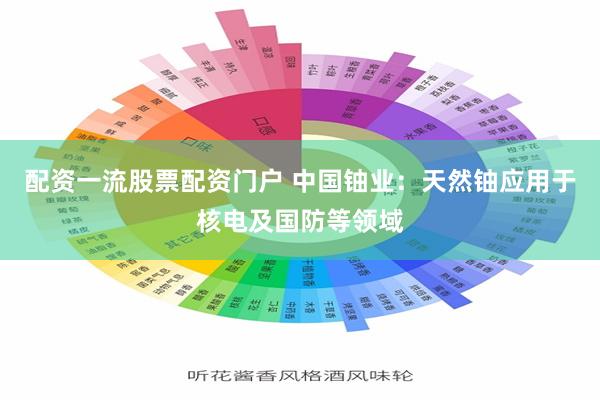 配资一流股票配资门户 中国铀业：天然铀应用于核电及国防等领域