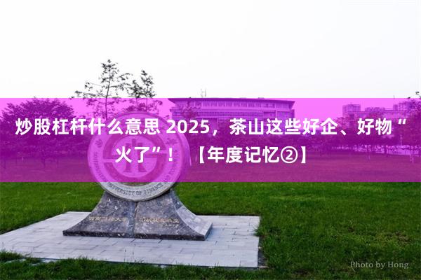 炒股杠杆什么意思 2025，茶山这些好企、好物“火了”！ 【年度记忆②】