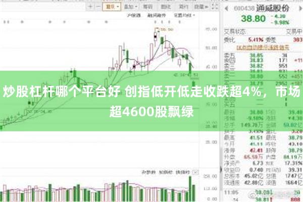 炒股杠杆哪个平台好 创指低开低走收跌超4%,市场超4600股飘绿