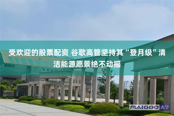 受欢迎的股票配资 谷歌高管坚持其“登月级”清洁能源愿景绝不动摇