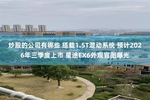 炒股的公司有哪些 搭载1.5T混动系统 预计2026年三季度上市 星途EX6外观官图曝光