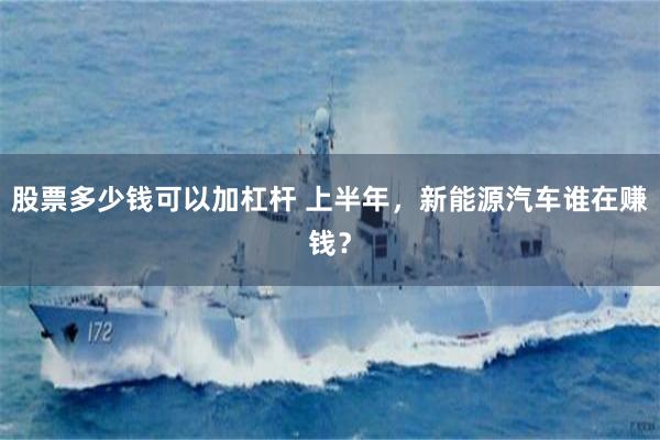 股票多少钱可以加杠杆 上半年，新能源汽车谁在赚钱？
