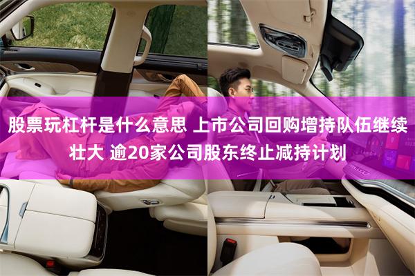 股票玩杠杆是什么意思 上市公司回购增持队伍继续壮大 逾20家公司股东终止减持计划