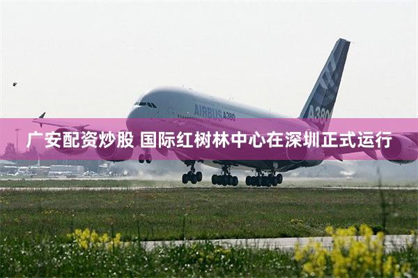 广安配资炒股 国际红树林中心在深圳正式运行
