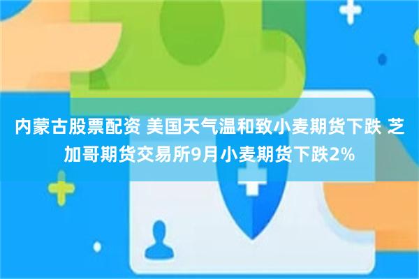 内蒙古股票配资 美国天气温和致小麦期货下跌 芝加哥期货交易所9月小麦期货下跌2%